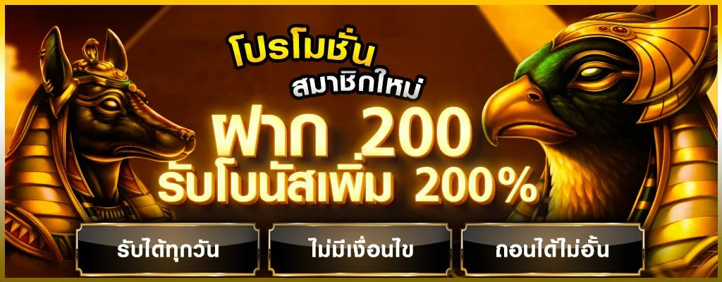 โปรโมชั่น4